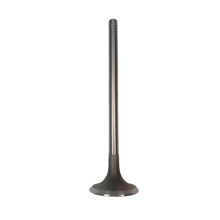 VALVULA ARAUCAQQ6X1 ADM